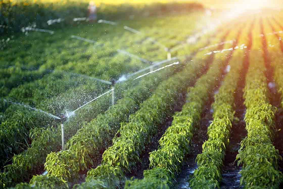 Sustainable Irrigation